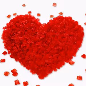 Röda Konstgjorda Rosblad – 500 st för Romantisk Dekoration, Bröllop och Alla Hjärtans Dag